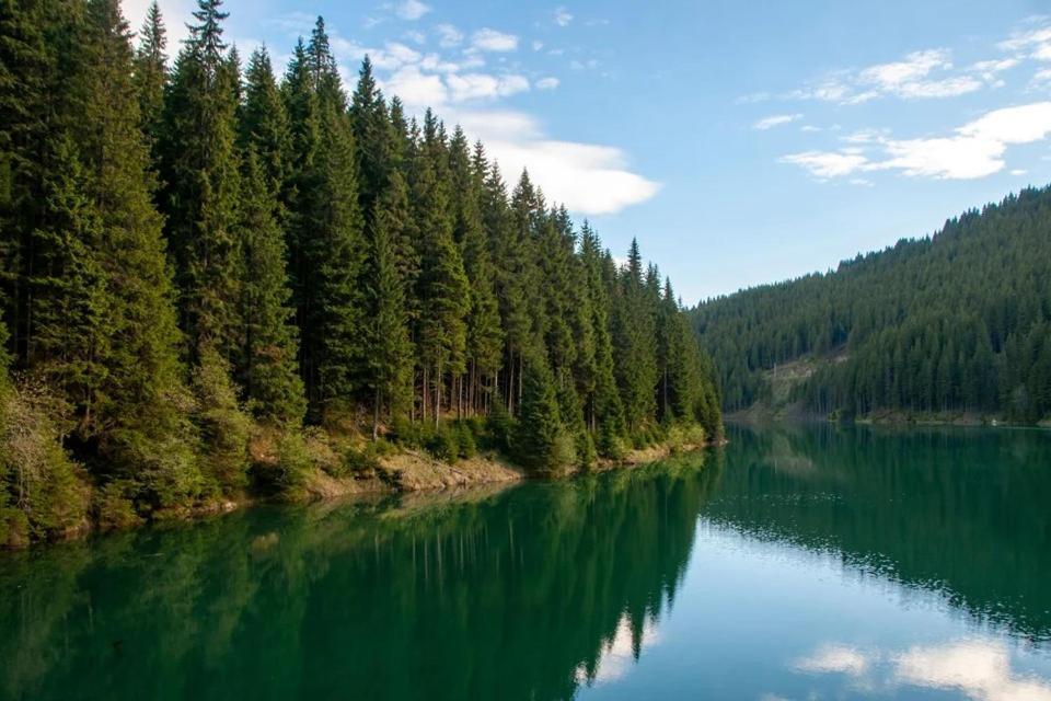 Camping Aviator, Numai Teren, Campare Pentru Rulote Autorulote Personale, Campingul Nu Are Rulote !!! Buşteni Exterior foto